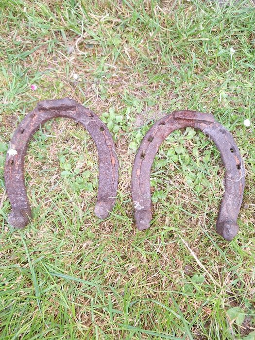 Podkowa dla konia prl