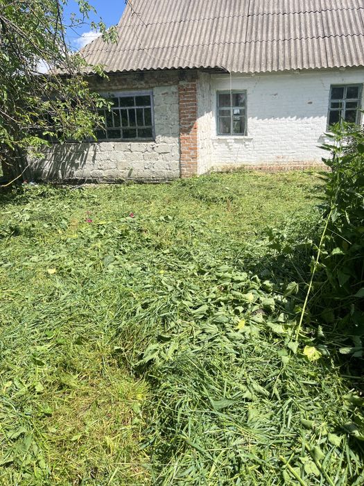 Терміновий покос трави бурьянів