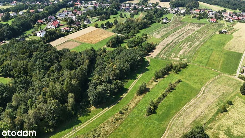 Widokowa działka z projektem domu (możliwość PnB) ! Czaniec | 51 ar!