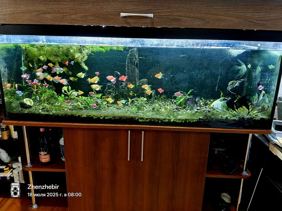 Акваріум  500 літрів та причандали..
