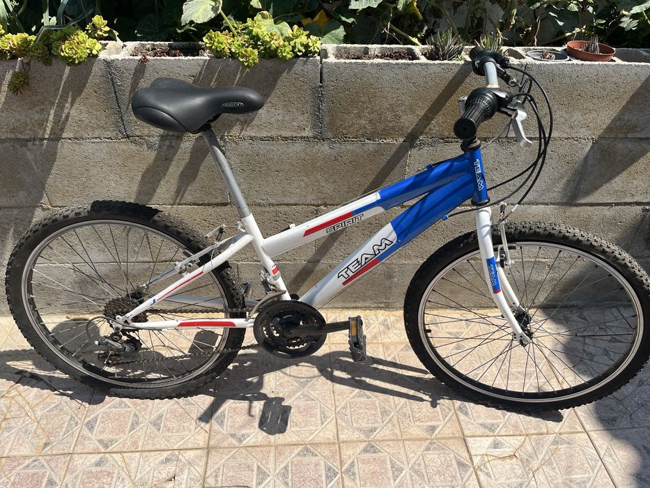 Vendo bicicleta Team spirit em bom estado
