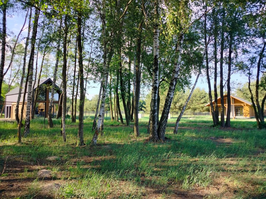 Działkę rekreacyjna nad jeziorem