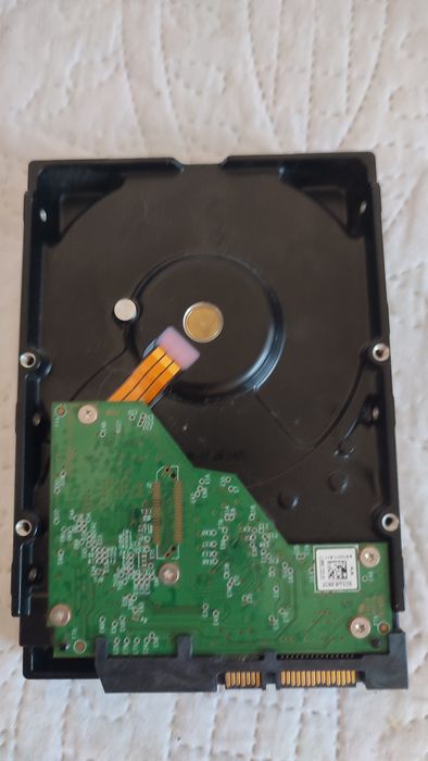 Disco Western digital 6 TB