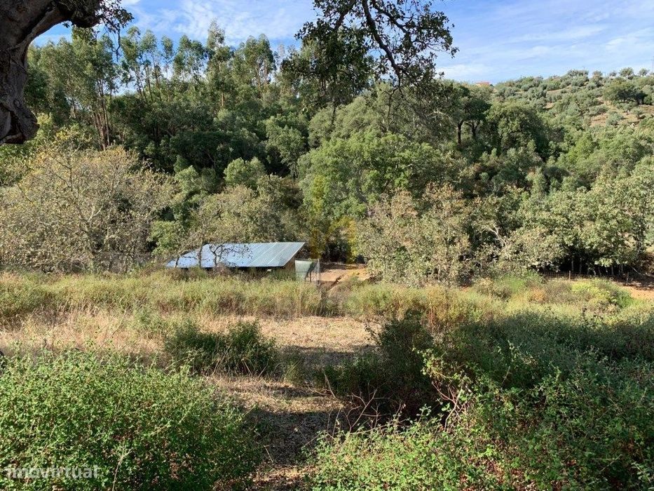 Quinta de 2.9 Hectares em Proença-a-velha