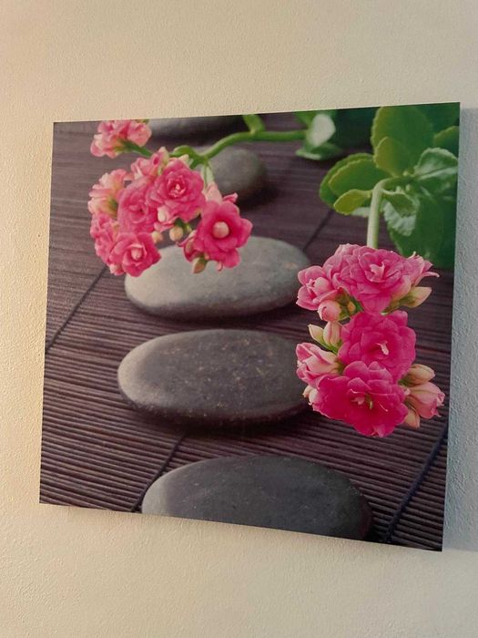 Quadros de Decoração - 15€ cada