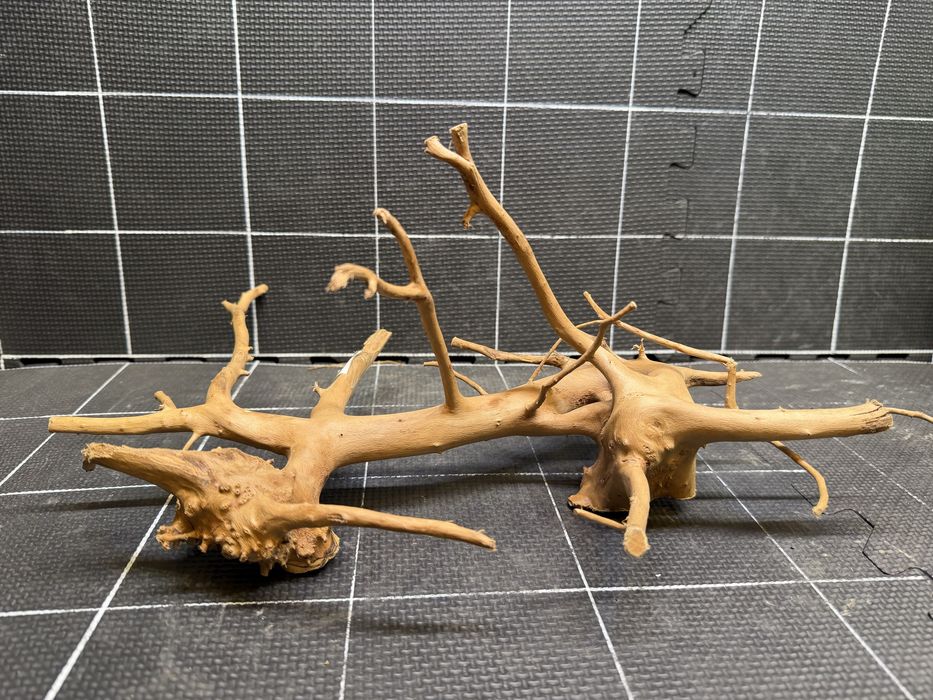 Korzeń red moor wood n-240