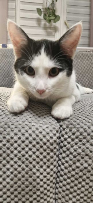 W domu tymczasowym dostałem ksywę Księgowy