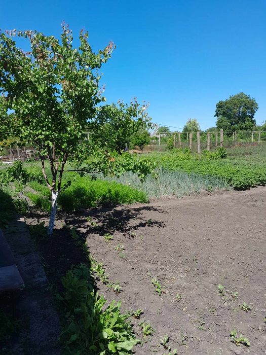 Продам великий будинок