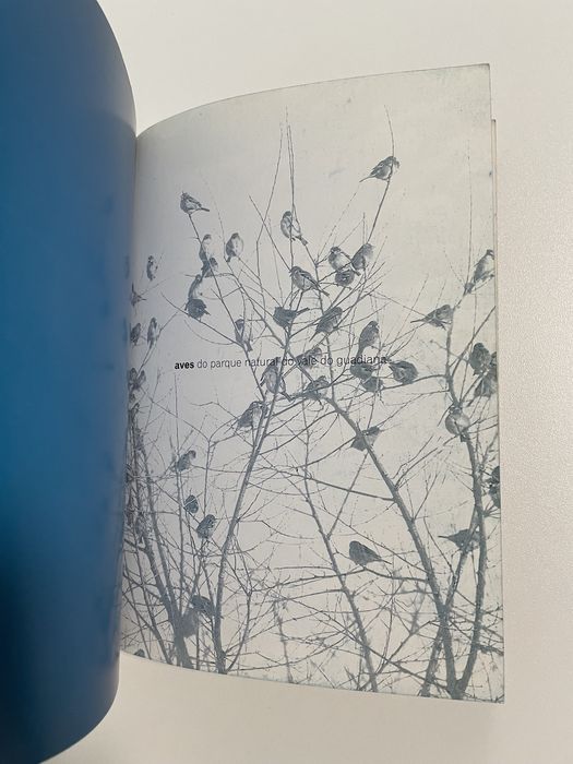 Livro Aves do Parque Natural do Vale do Guadiana