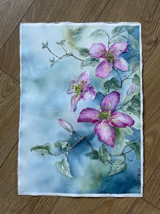 Akwarela 42/30 cm kwiaty Clematis obraz