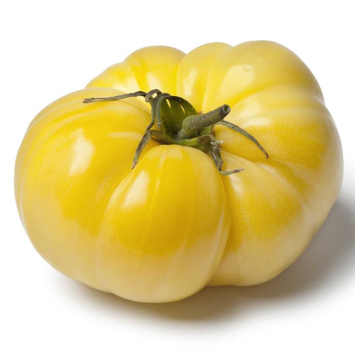 10 Sementes de Tomate Branco