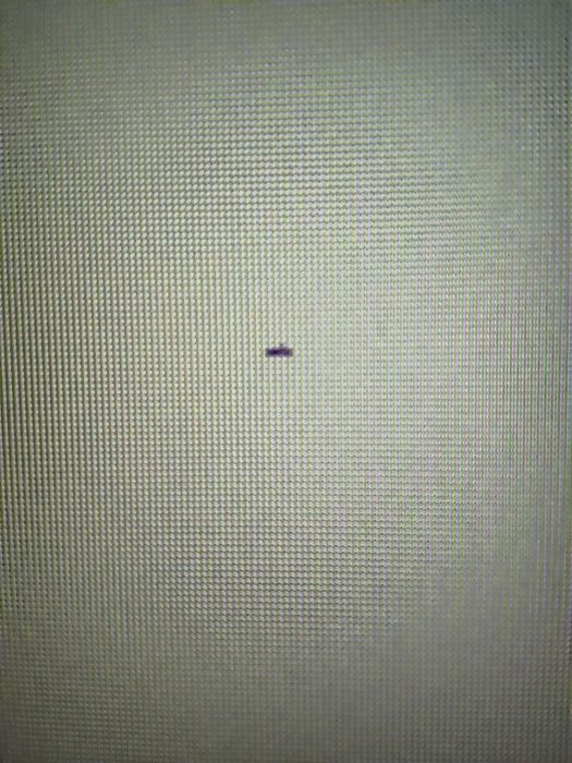 Монітор MSI Optix G241VC