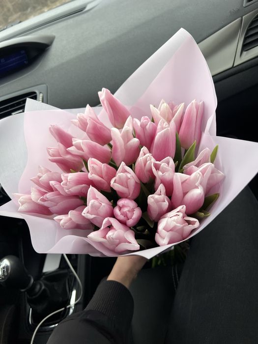 Тюльпан Український гурт роздріб