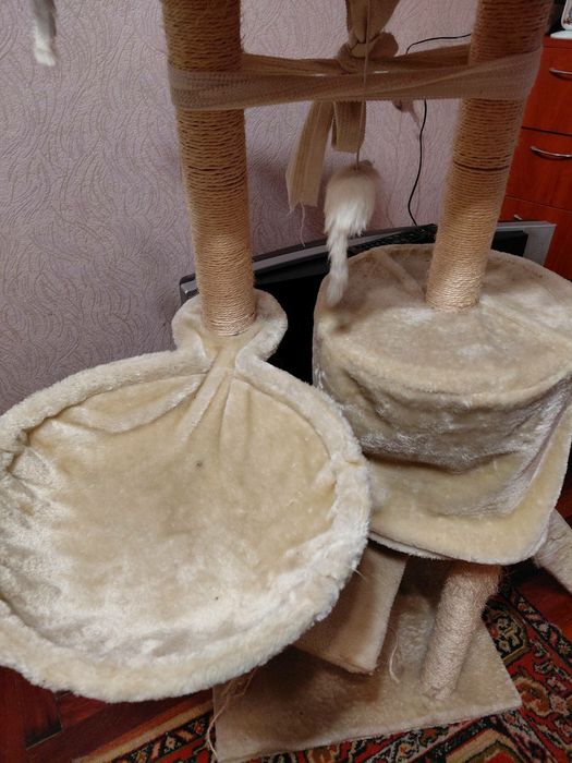 Когтеточка с домиком для котов.