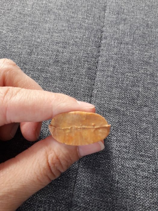 Figurka misia z czasów PRL