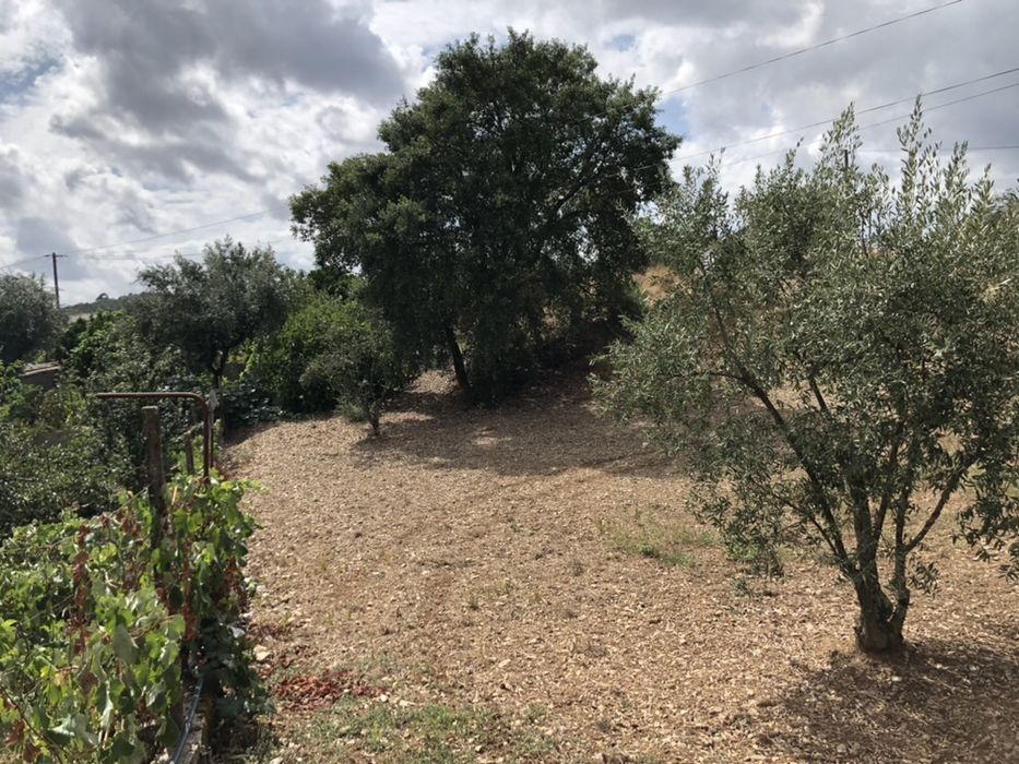 Terreno potencial para turismo rural na chaveira ,Cardigos,Mação