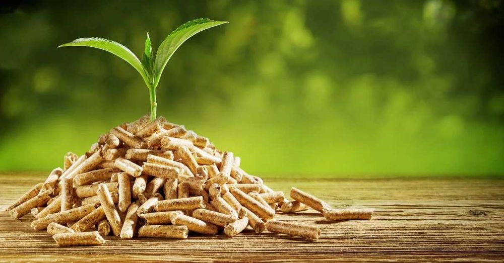 Pellet drzewny CERTYFIKAT A1 – najwyższa jakość, szybka dostawa!