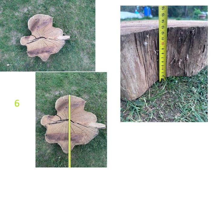 Plastry Akacjowe płaty akacji różne 50-70cm suche
