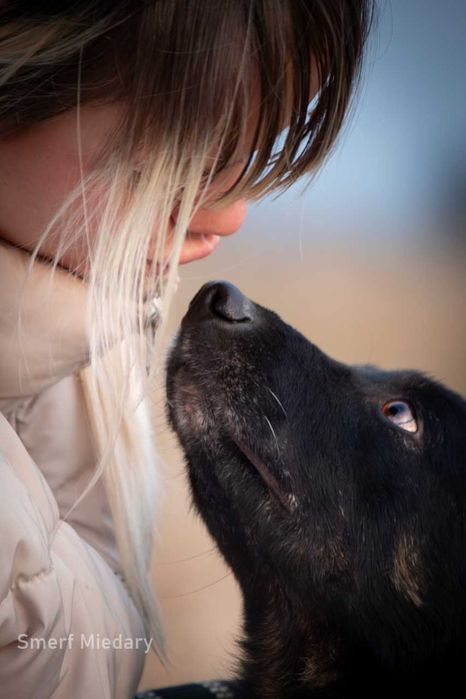 Smerfik- popatrz w te oczy i pokochaj ADOPCJA