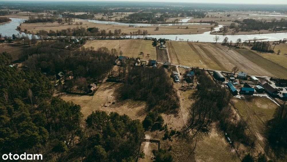 Wyjątkowa działka 8900 m² z własnym lasem w Bojanach, gmina Brok - Widok 2