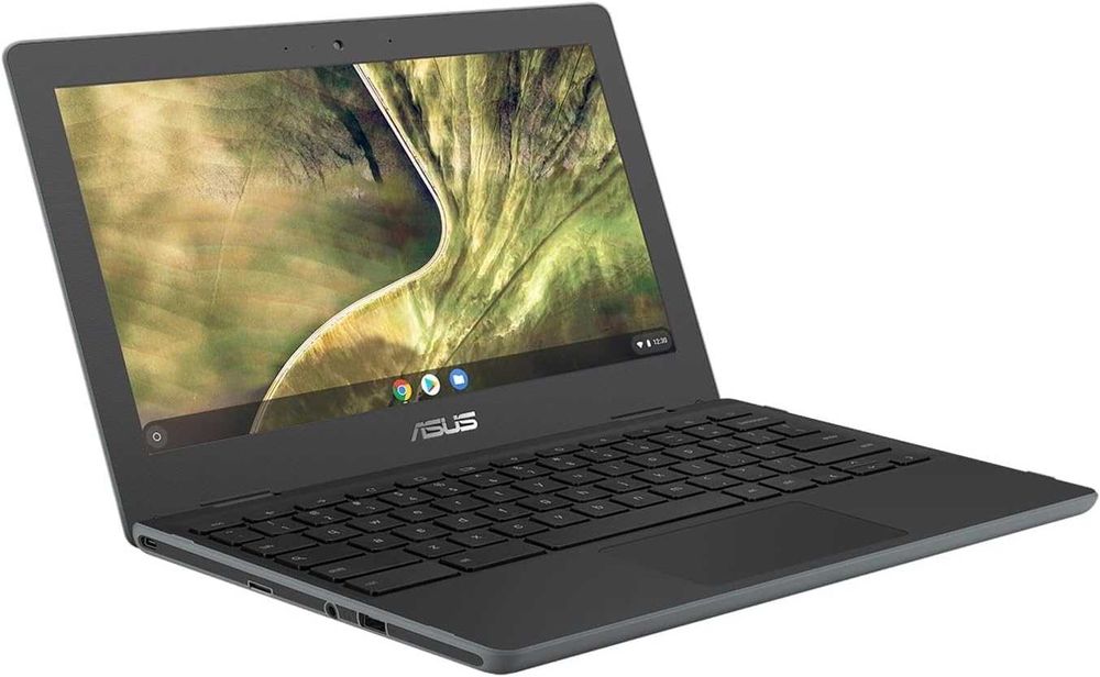 ASUS Chromebook C204MA 11.6" HD Laptop