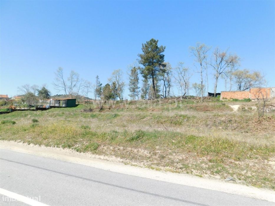 Terreno / Belmonte, Maçainhas — Covilhã E Canhoso, Castelo Branco