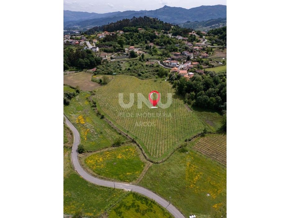 Quinta Vinícola