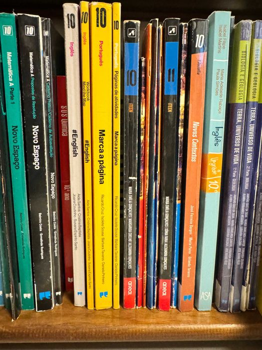 livros escolares diversos 10º