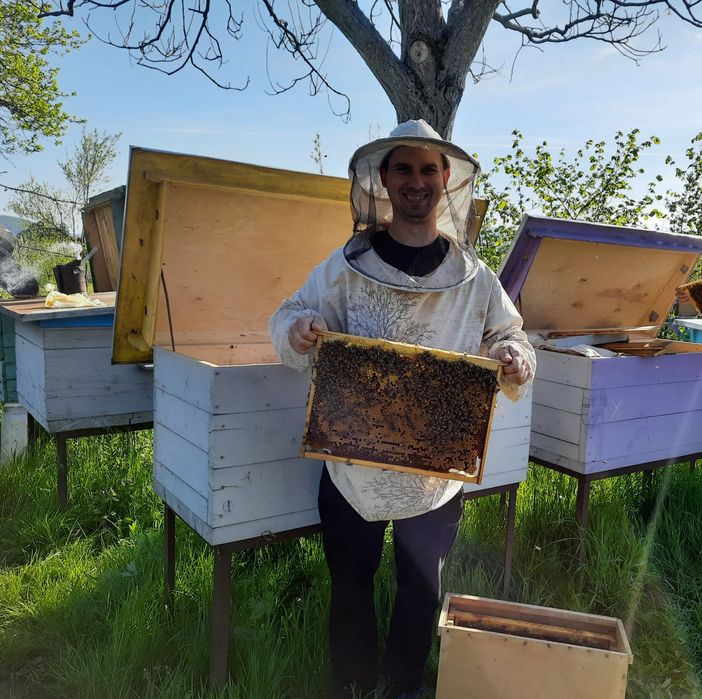 Приймаю замовлення на бджолопакети