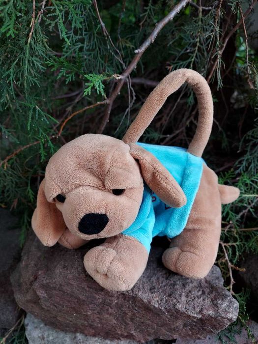 Собака сумочка Мягкая игрушка плюшевая