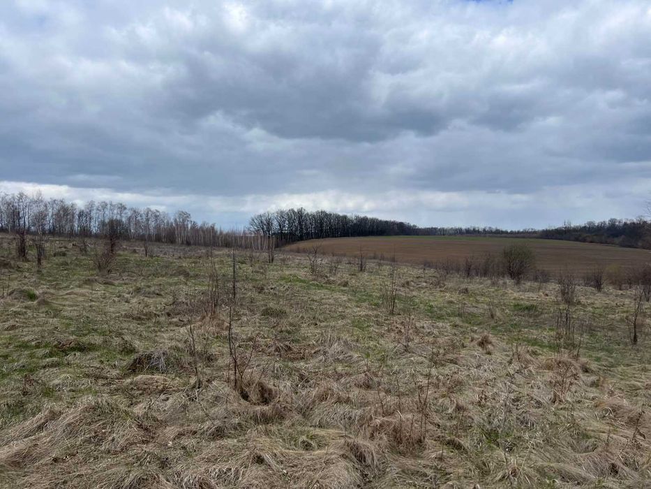 (5) Продам земельну ділянку 12 с в смт. Вороновиця 8116