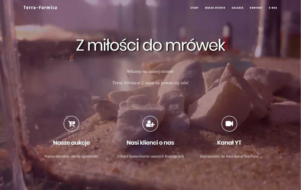 Segment "labirynt" gniazda dla mrówek