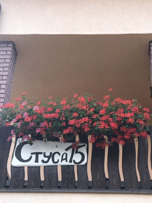 Відпочинок в Карпатах (смт.Славсько)