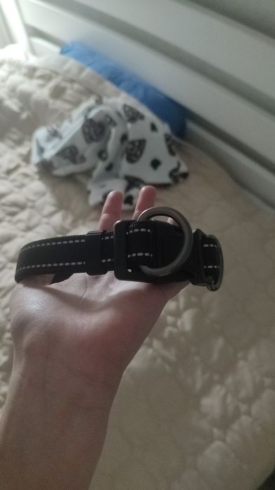 продам ошейник для собаки