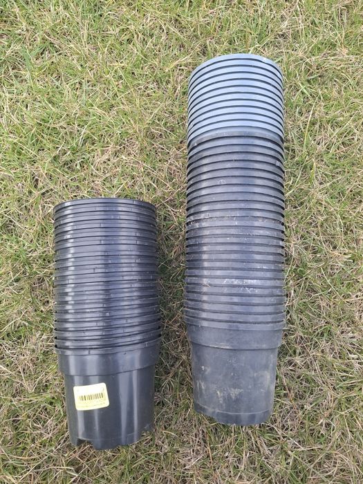 Doniczki produkcyjne 13x10.5