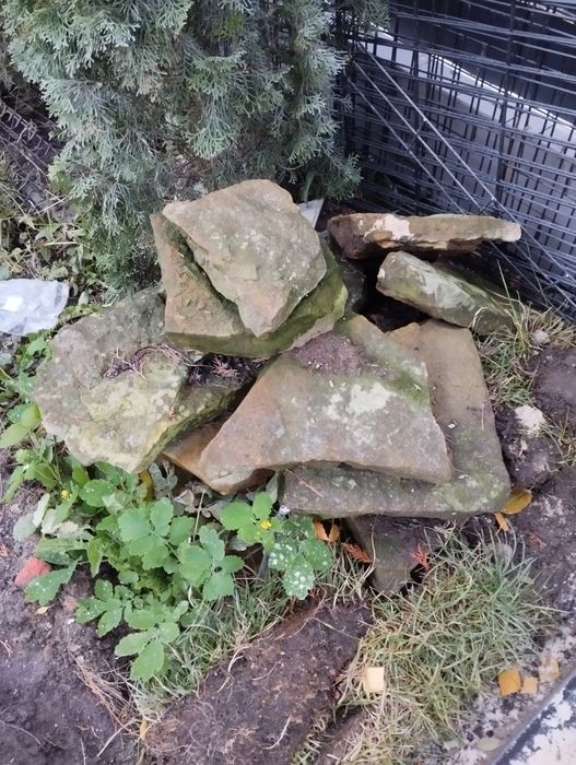 Kamień dekoracyjny na skalniak