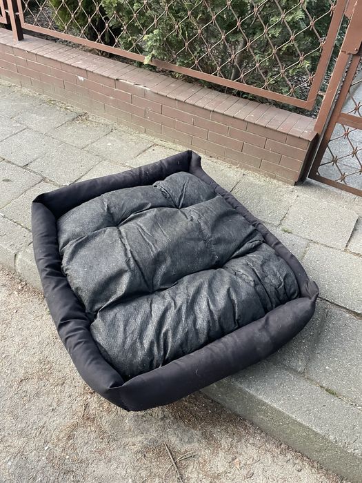 Legowisko dla pasa dużego. Ogromnego