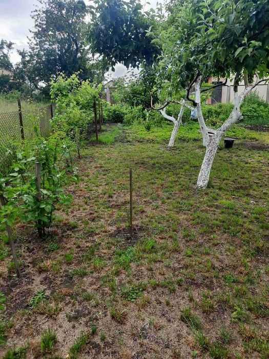 Продаж будинку с. Давидів