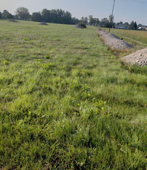 Działka budowlana 1000 m², Nowe Gniewniewice gm. Leoncin, media - Widok 4