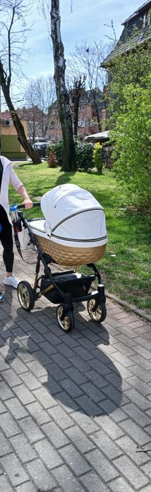 Wózek 2w1 Adbor  OX-V 3D