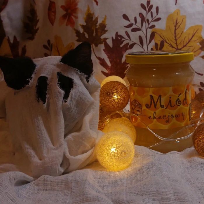 Miód pszeli z domowej pasieki, 650g/słoik