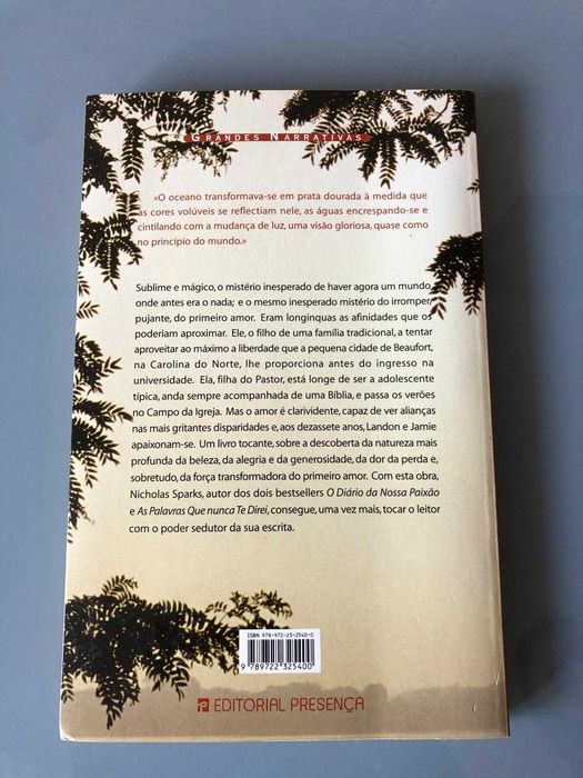 Livro Um Momento Inesquecível - Nicholas Sparks