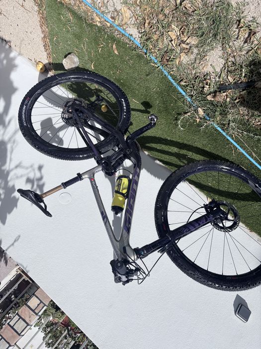 Giant antham flex point 2024