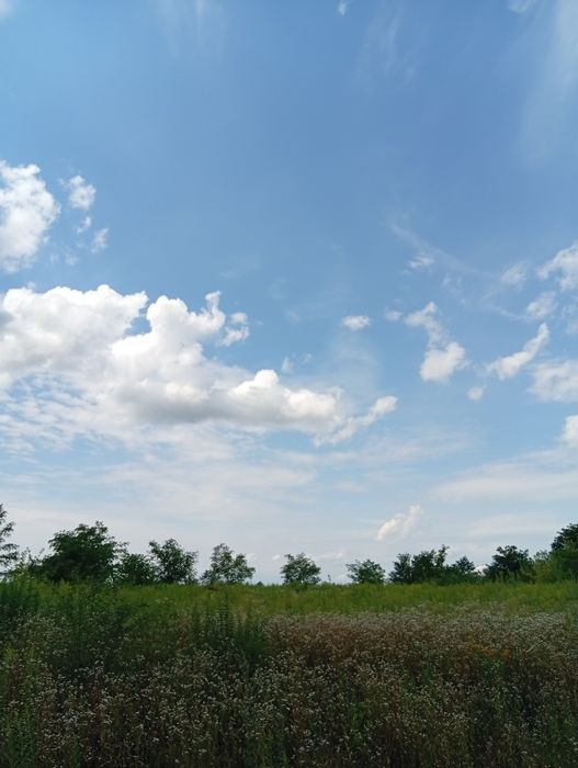 Продаж земельної ділянки Перемичка Агрономічне