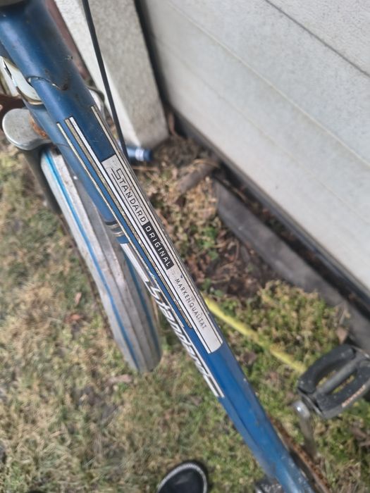 Stary Rower Standard
