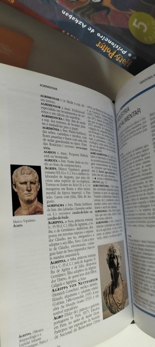 Livro enciclopédia larousse