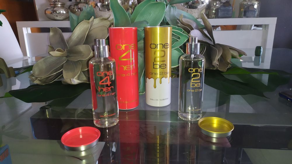 2 perfumes novos 100 ml cada