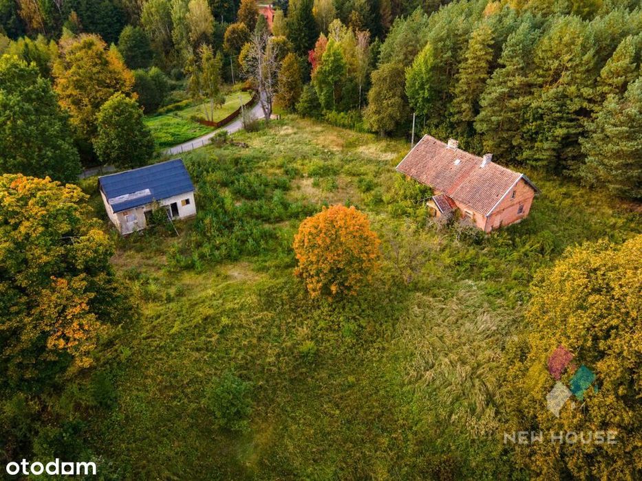 Dłużki, siedlisko nad jez. Dłużek