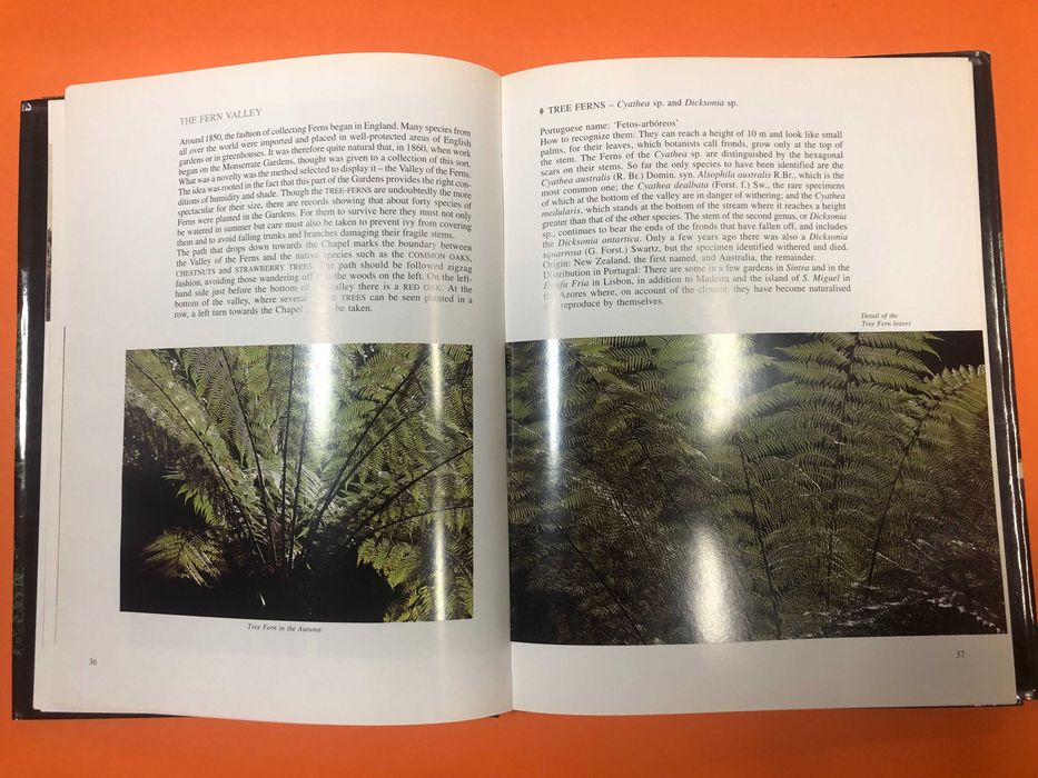Trees of Monserrate - João Sande de Freitas  Ed. 80 cópias Assinado