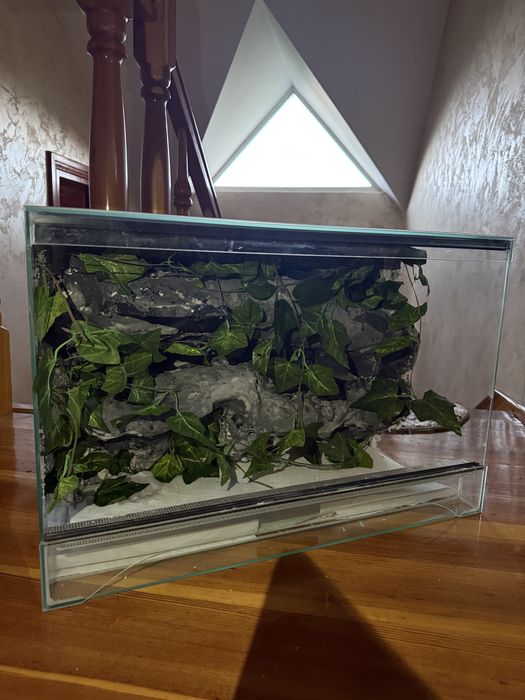 Terrarium szklane ze ścianką 60x40x30 gekon lamparci agama wąż zbożowy